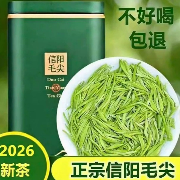 毛尖2026新茶茶叶正宗原产明前特级嫩芽尖绿茶浓香型毛尖罐装